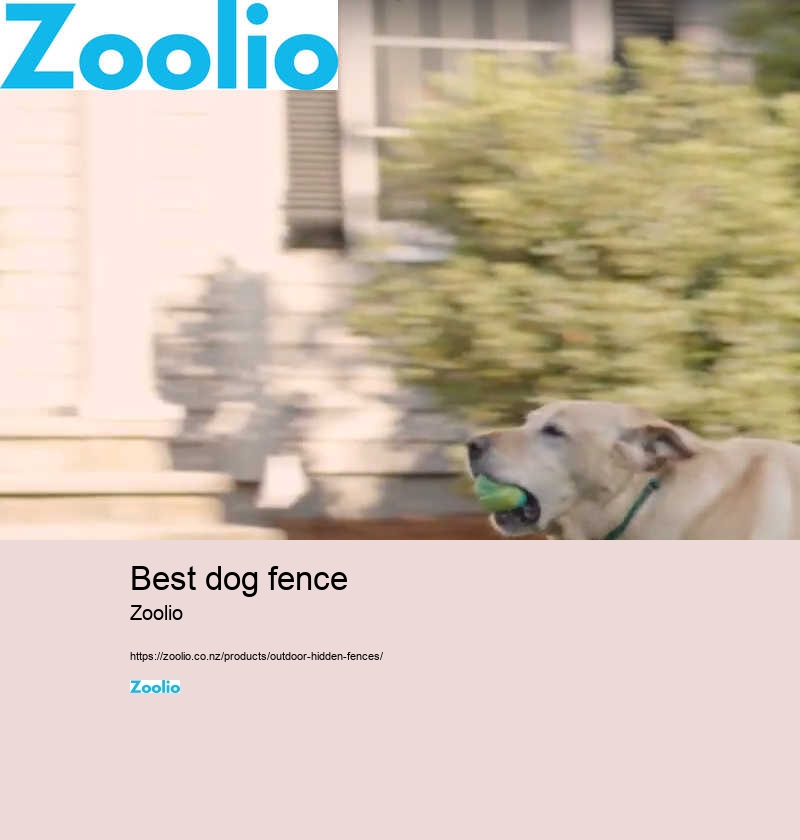 dog electric fence