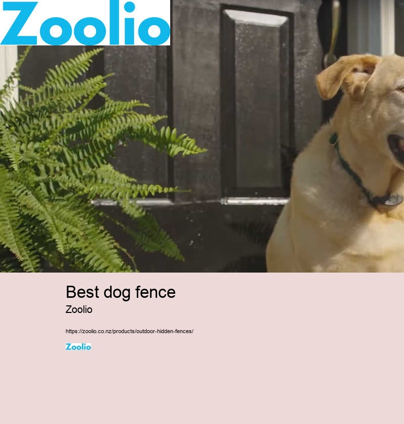 portable dog fence