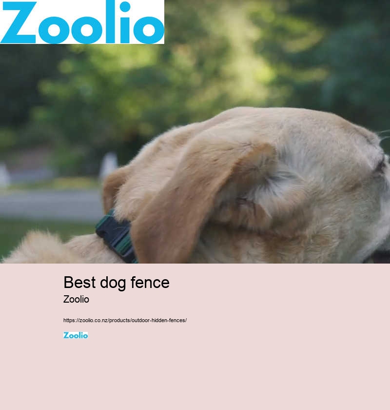 best dog fence