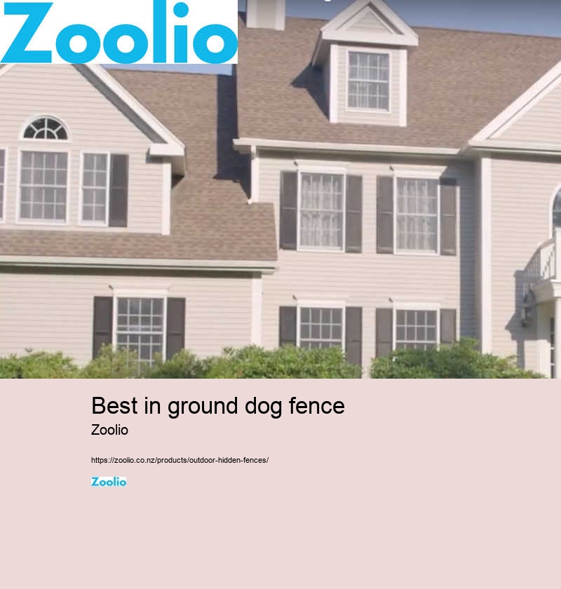 best underground dog fence