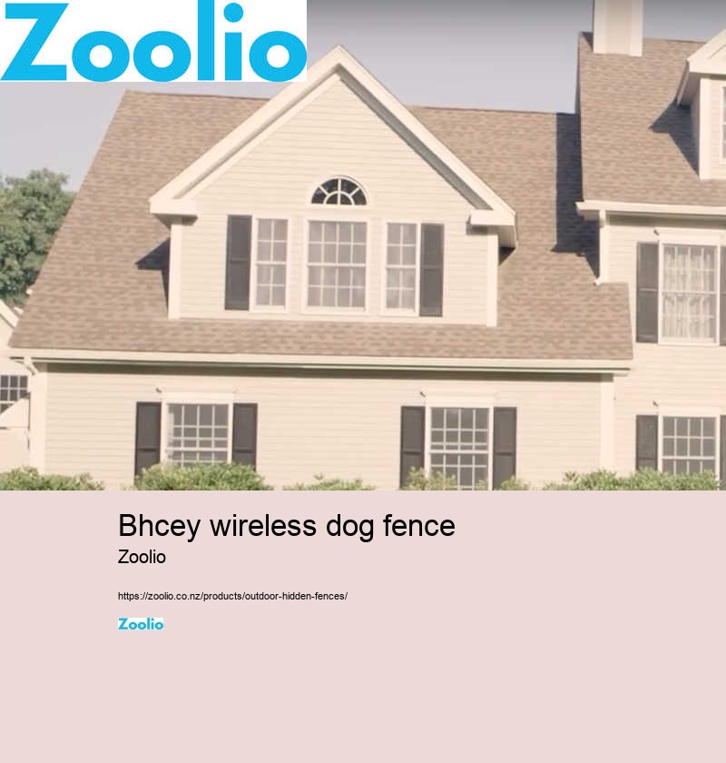 bhcey wireless dog fence