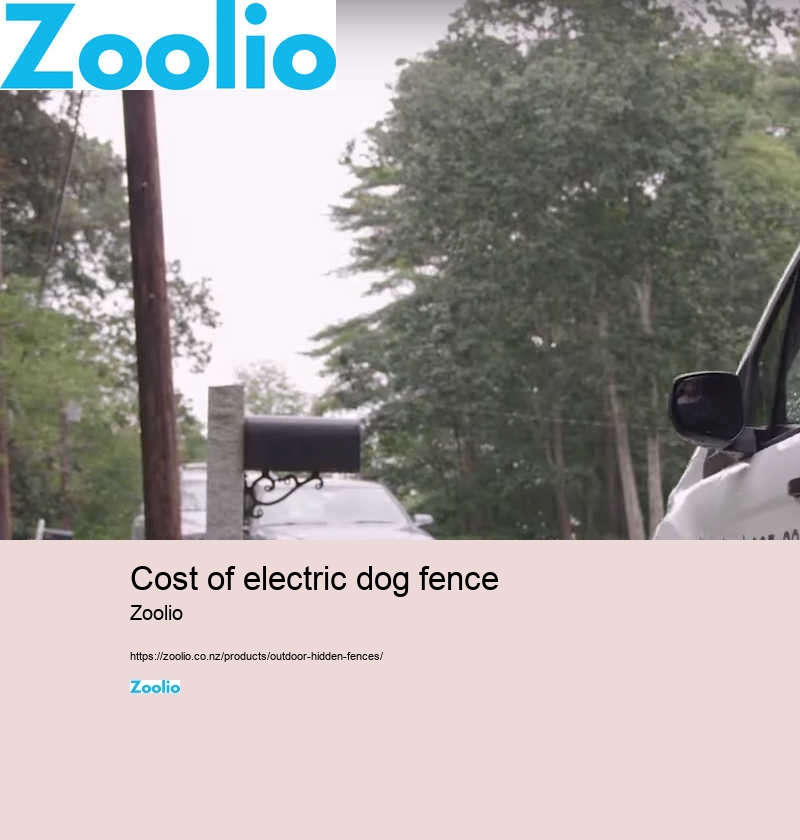 electric dog fence cost