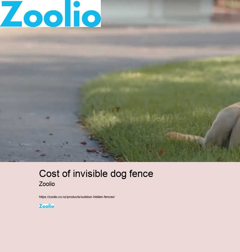 cost of invisible dog fence