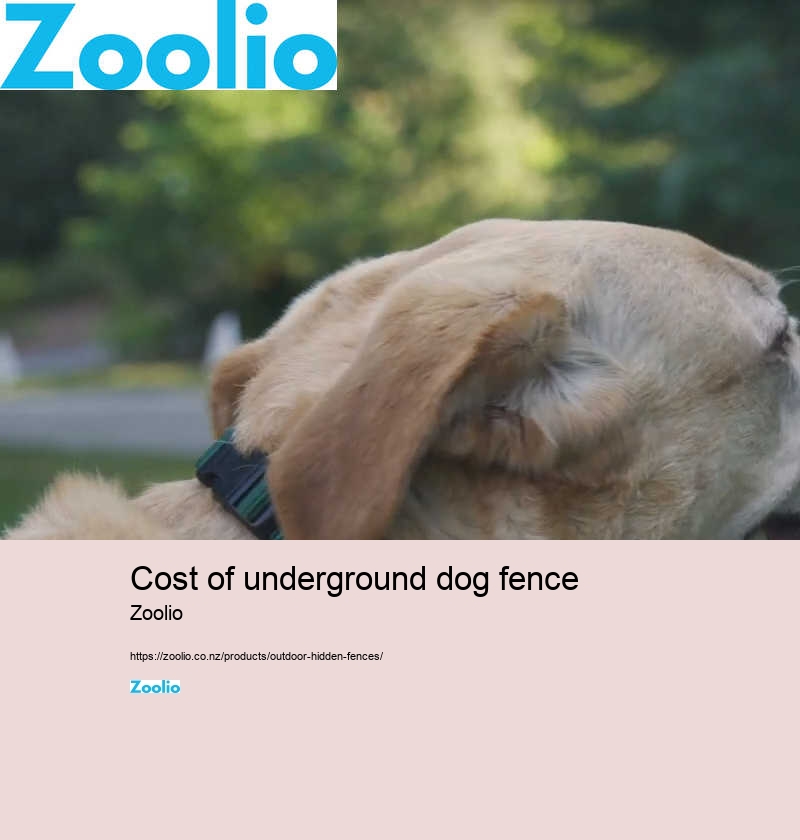 cost of underground dog fence