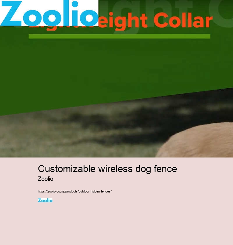 customizable wireless dog fence