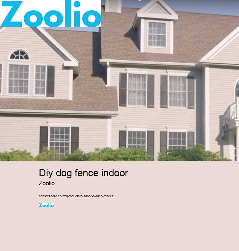 dog fence