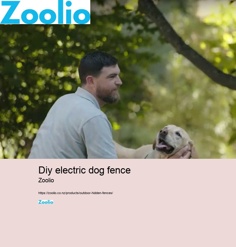 dog electric fence