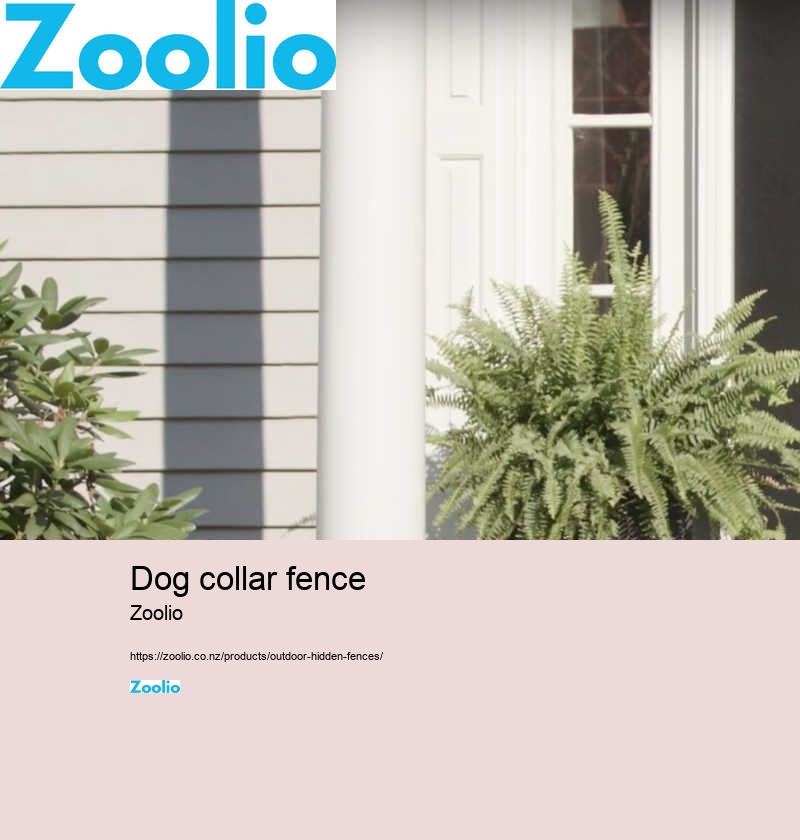 hidden electric fence for dogs