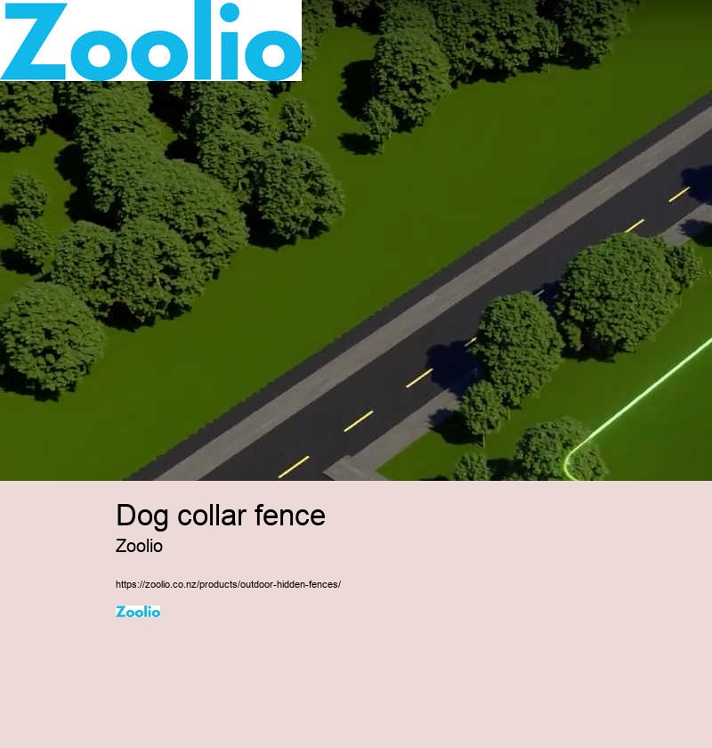 dog collar fence