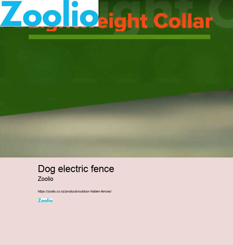 dog fence gps collar