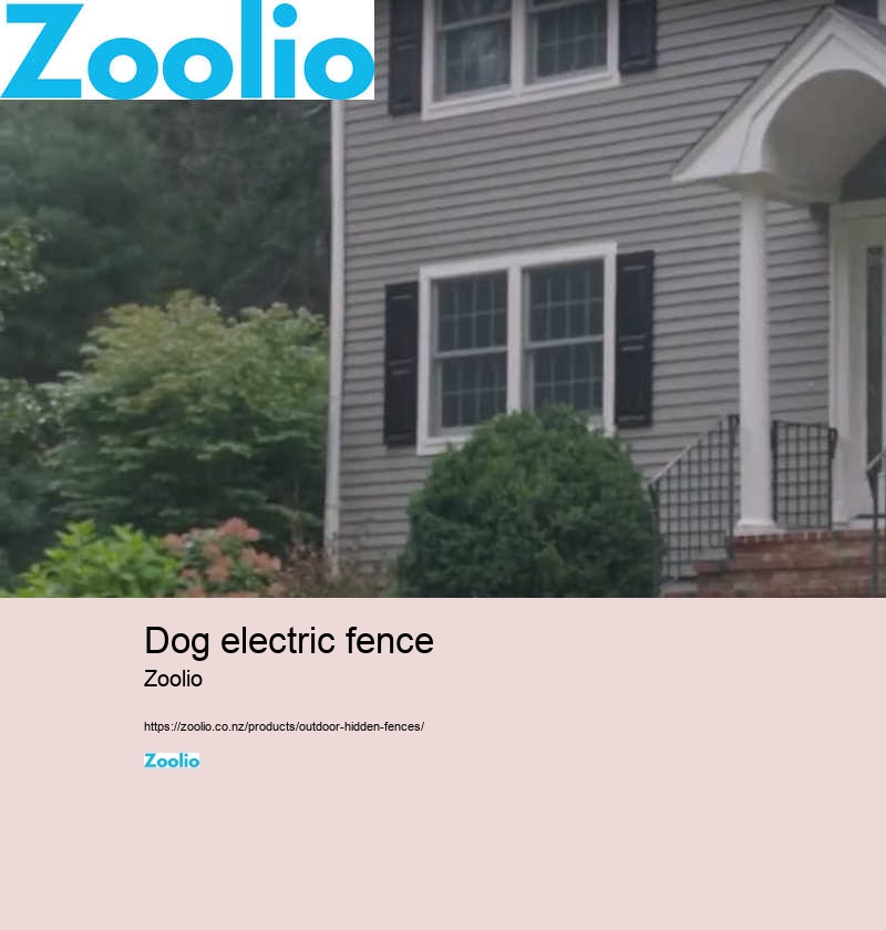 wireless dog fence