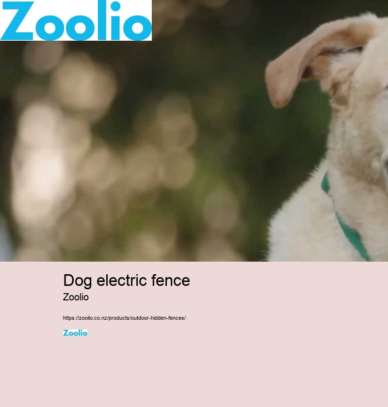 dog electric fence