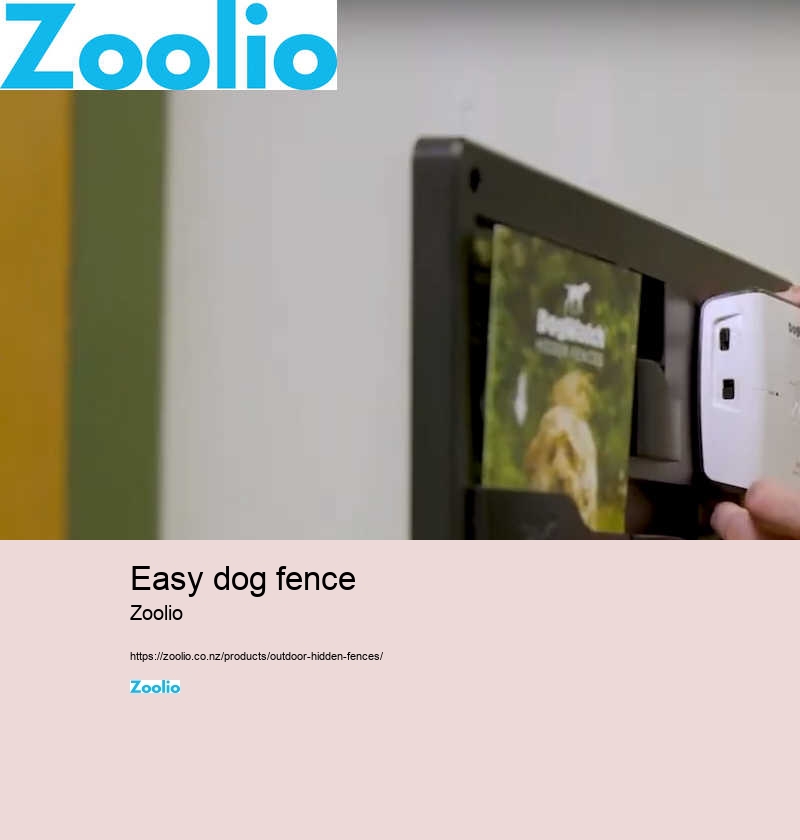 best wireless dog fence