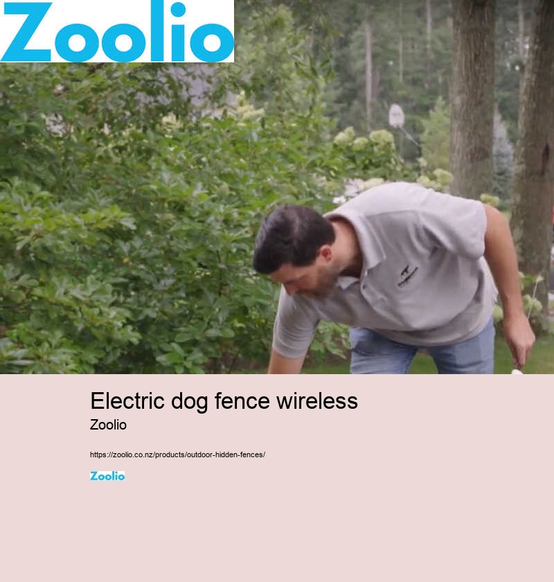 electric dog fence wireless