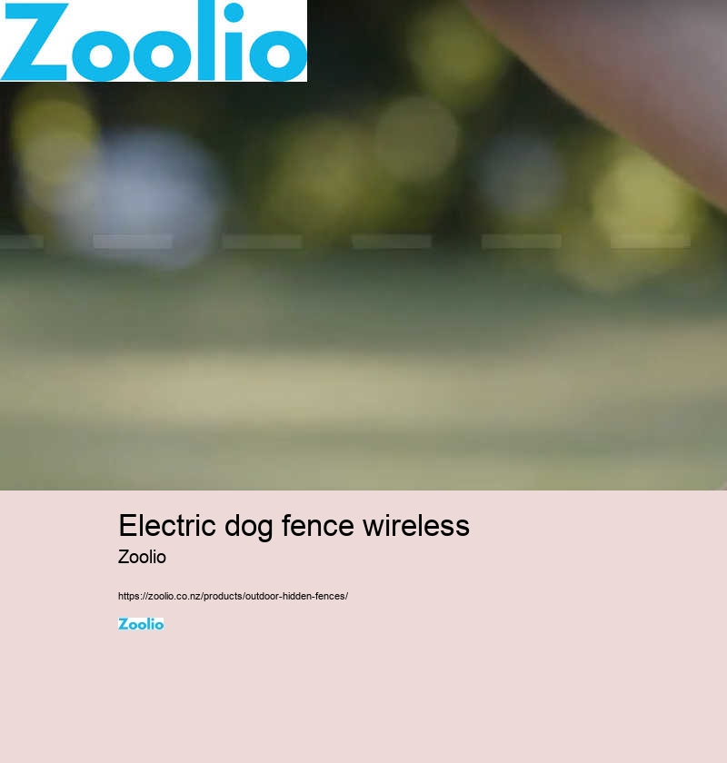 electric dog fence nz