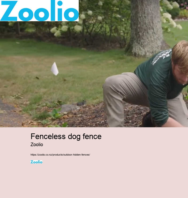 wireless dog fence