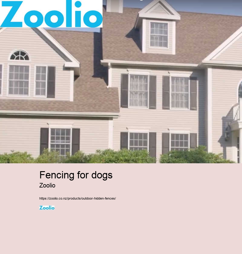 fencing for dogs