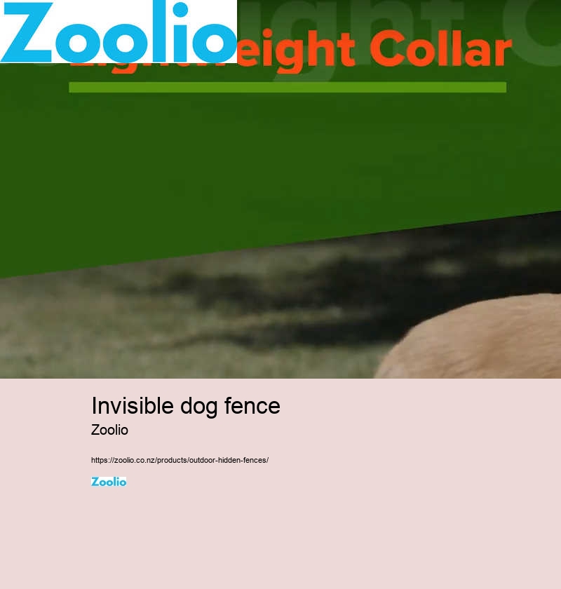 invisible dog fence