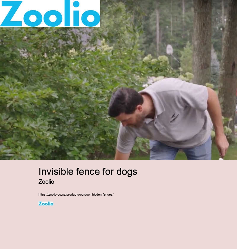 invisible fence for dogs