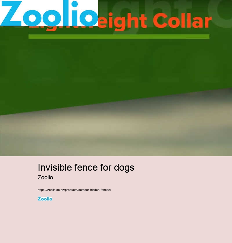 hidden dog fence company