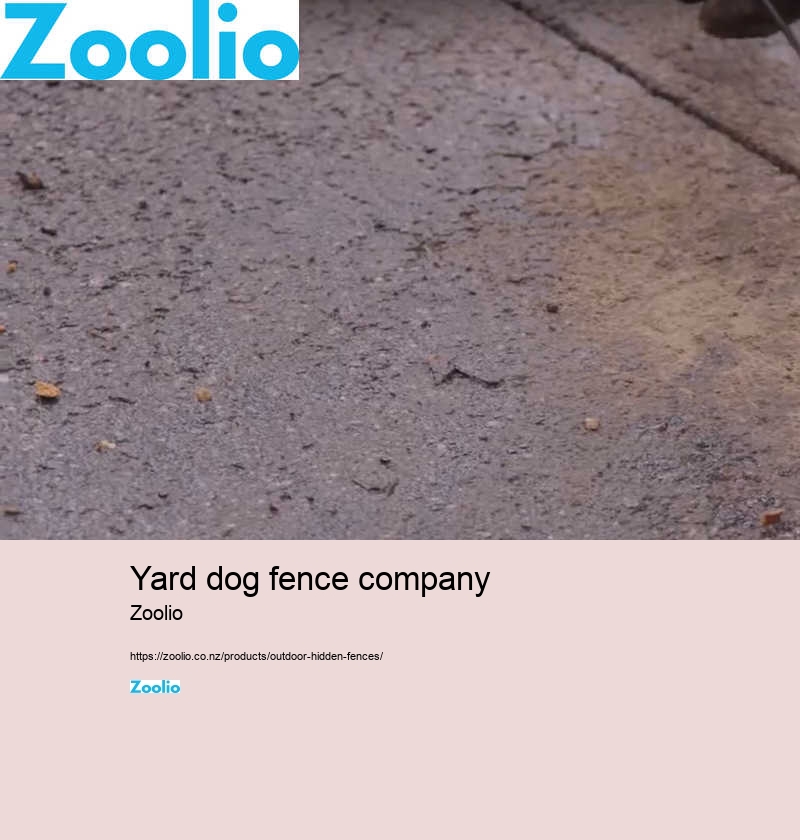 dog fence installation cost